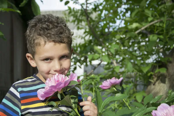 Liten pojke står nära en pion. — Stockfoto