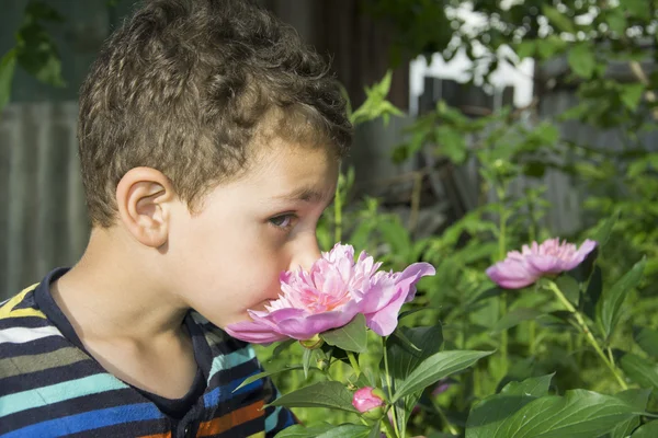 Little boy stands near a pion. — Stock Photo, Image