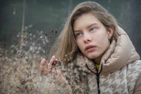 フィールド上の寒い霜の朝の秋には 露が降る草の中に長い髪の少女 ロイヤリティフリーのストック写真