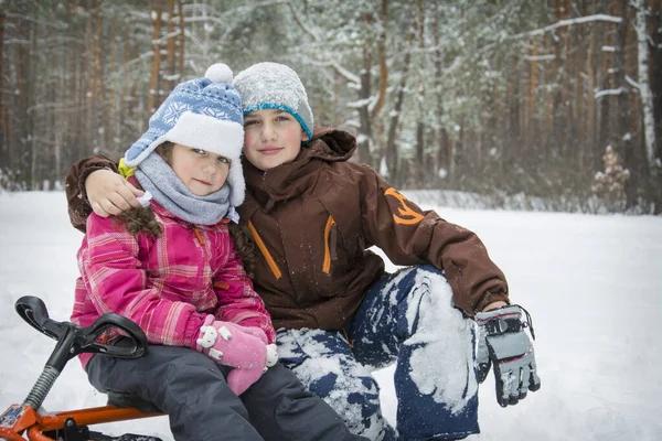 Invierno Bosque Cubierto Nieve Hermano Hermana Sientan Nasnanki Abrazo — Foto de Stock