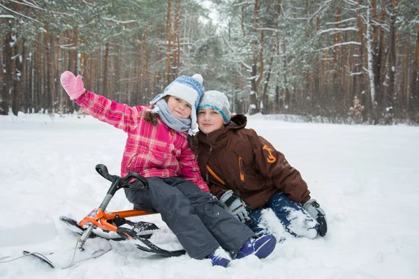 Winter Sitzen Bruder Und Schwester Einem Verschneiten Wald Auf Nasnanki — Stockfoto