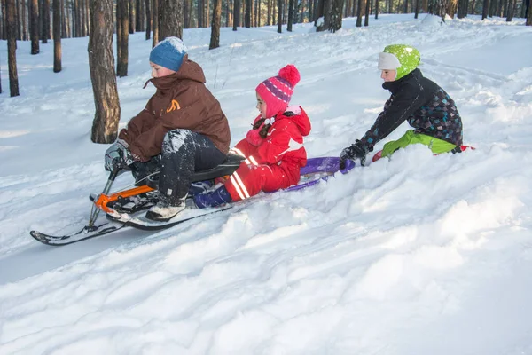 Hiver Dans Forêt Les Enfants Descendent Colline Sur Des Plaques — Photo