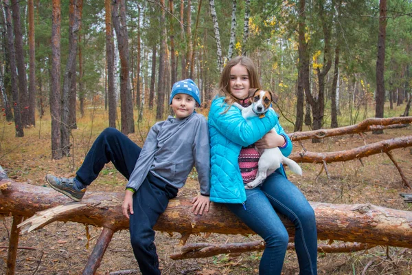 Autumn Forest Brother Sister Sitting Log Holding Jack Russell Dog — Stock Photo, Image