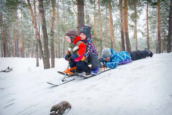 Inverno Floresta Crianças Deslizam Pela Colina Abaixo Placas Plástico Estão — Fotografia de Stock