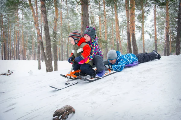 Hiver Dans Forêt Les Enfants Descendent Colline Sur Des Plaques — Photo