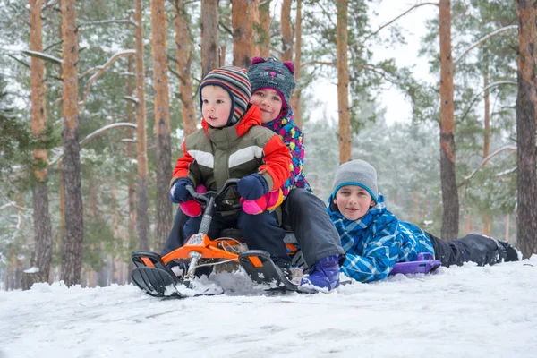 Winter Rutschen Kinder Wald Auf Plastikplatten Den Hügel Hinunter Sie — Stockfoto