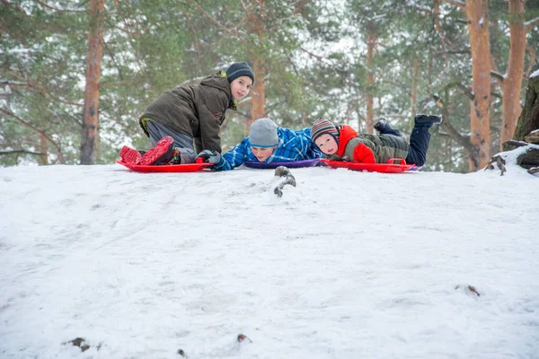 Inverno Nella Foresta Bambini Scivolano Giù Dalla Collina Piastre Plastica — Foto Stock