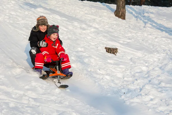 Crianças Brincam Neve Passeio Trenó Inverno Para Crianças — Fotografia de Stock