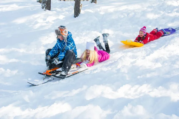 Winter Het Bos Glijden Kinderen Heuvel Plastic Platen Zijn Vrolijk — Stockfoto