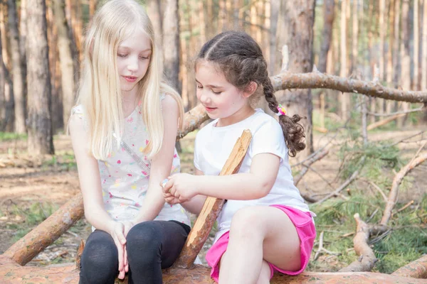 Crianças Jovens Carinhosas Sentam Logs Perto Pinheiro Crianças Falam Sinceramente — Fotografia de Stock