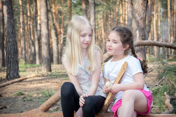 Hassas Genç Kızlar Çam Ağacının Yakınındaki Kütüklere Oturur Çocuklar Konuşur — Stok fotoğraf