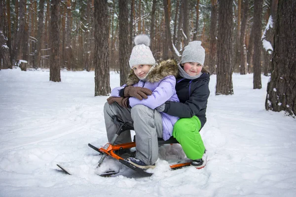 Яркий Зимний День Заснеженном Лесу Две Счастливые Девушки Сидят Снежном — стоковое фото