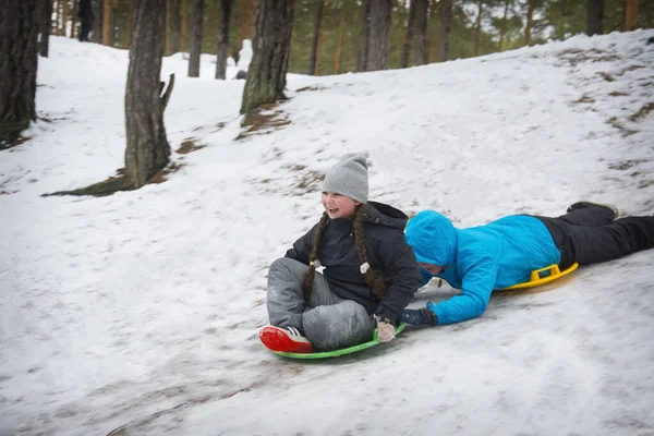 Winter Pine Forest Bright Sunny Day Little Brother Sister Ride — Stock Photo, Image