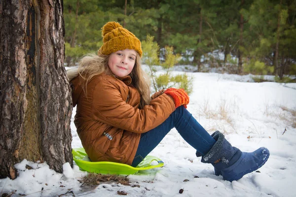 冬には 雪に覆われた松林の中で 女の子はプラスチック板の上に座っていて もうすぐ下がろうとしている — ストック写真