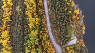 Drone yolun üzerinden yükseliyor. Sonbahar, bulutlu gün, renkli ağaçlar, altın ağaçlar