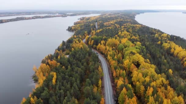 Drón repül az út felett. Ősz, felhős nap, színes fák, arany fák — Stock videók