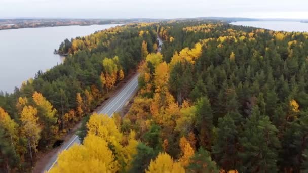 Drone vliegt over de weg. Herfst, bewolkte dag, kleurrijke bomen, gouden bomen — Stockvideo