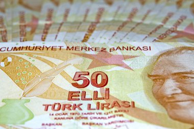 50 Türk Lirası yakın çekim