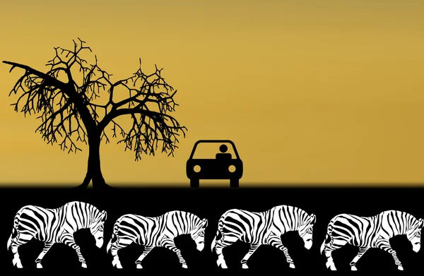 在非洲的野生动物园的插图 — 图库矢量图片