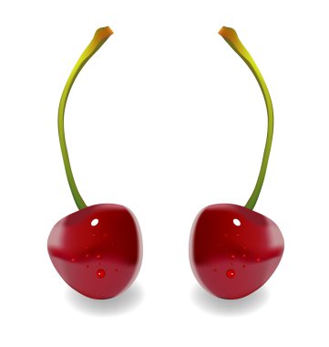 Two Cherries clipart