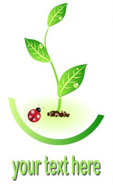 Eko illüstrasyon simge ile bitki ve lady bug