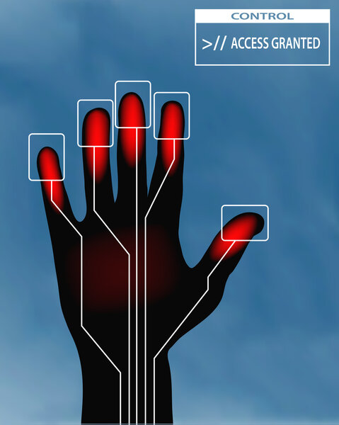 концепция предоставленного доступа
