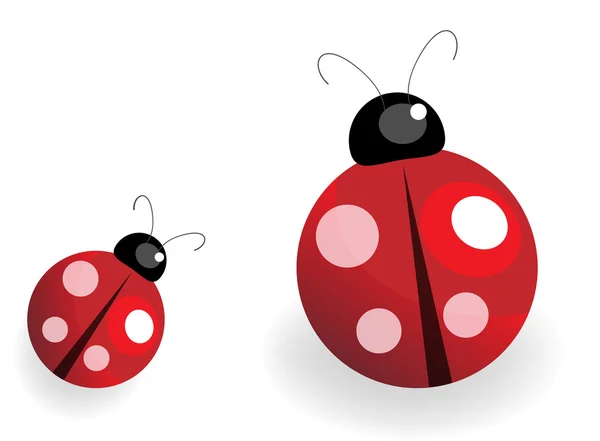 Lady Bug. —  Vetores de Stock