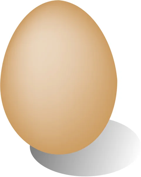 Yumurta, bir gölge beyaz zemin üzerine izole — Stok Vektör