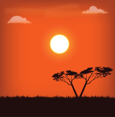 Afrika peyzaj