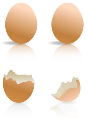 kahverengi ve kırık yumurta kabukları izole edilmiş.