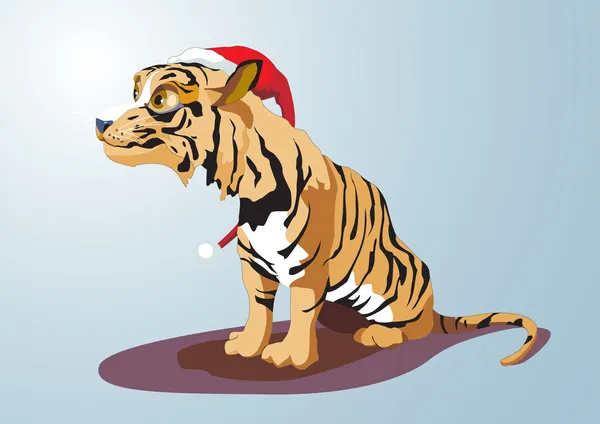Tigerns år. 12 zodiac djur — Stock vektor