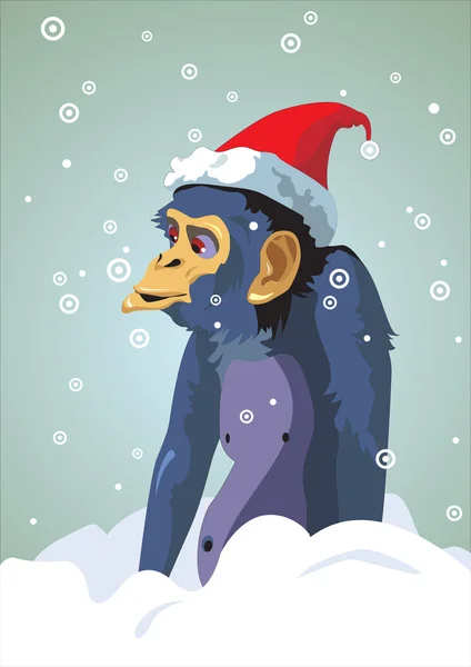 År monkey.12 zodiac djur Royaltyfria illustrationer