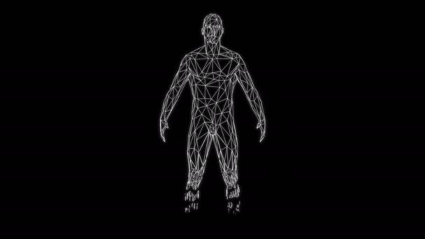 白い線ループによって形成された低ポリ3D人間の女性と男性の数字を回転 — ストック動画