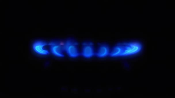 Plynový Sporák Hořící Tmě Zblízka Metan Zapíná Modrým Plamenem Plynovém — Stock video