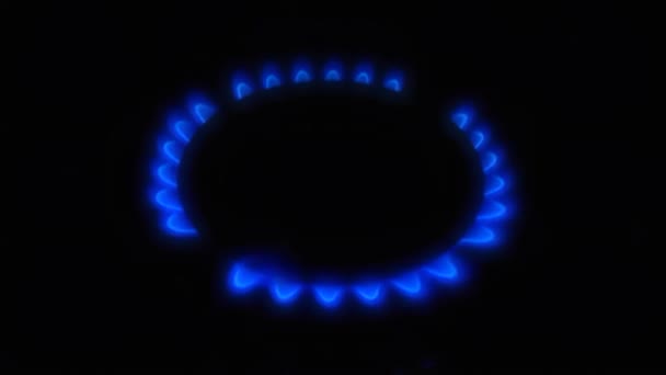 Gas Stove Kitchen Burner Flaming Dark Close Methane Firing Blue — Stock Video