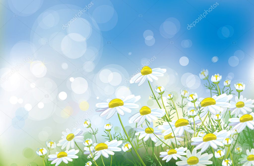 Vector of spring background