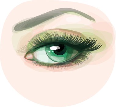 vektör yeşil güzel kadının göz.