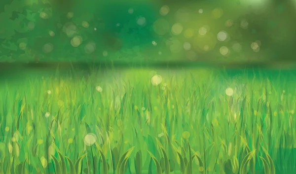 Vetor de fundo de primavera com grama verde . — Vetor de Stock
