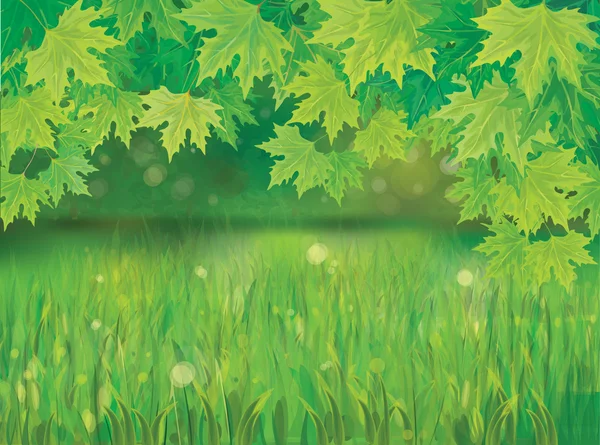 Вектор весеннего фона с зеленой травой и ветвями кленового дерева . — стоковый вектор