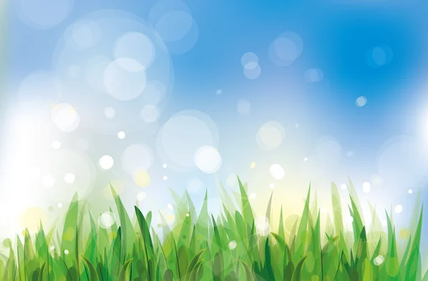 Vector van voorjaar achtergrond, hemel en gras. — Stockvector