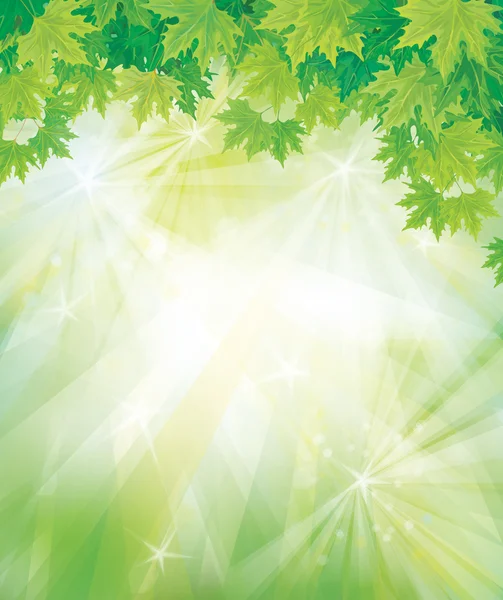 Vettore di foglie verdi su sfondo soleggiato . — Vettoriale Stock