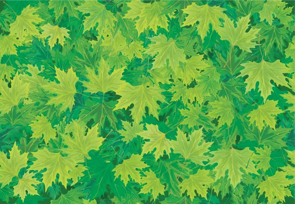 Vector seamless background of green leaves. — Stock Vector