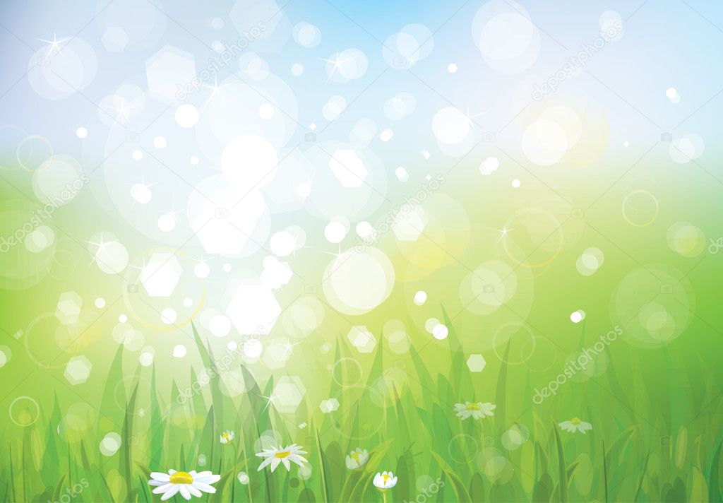 Vector of spring background with white daisies.