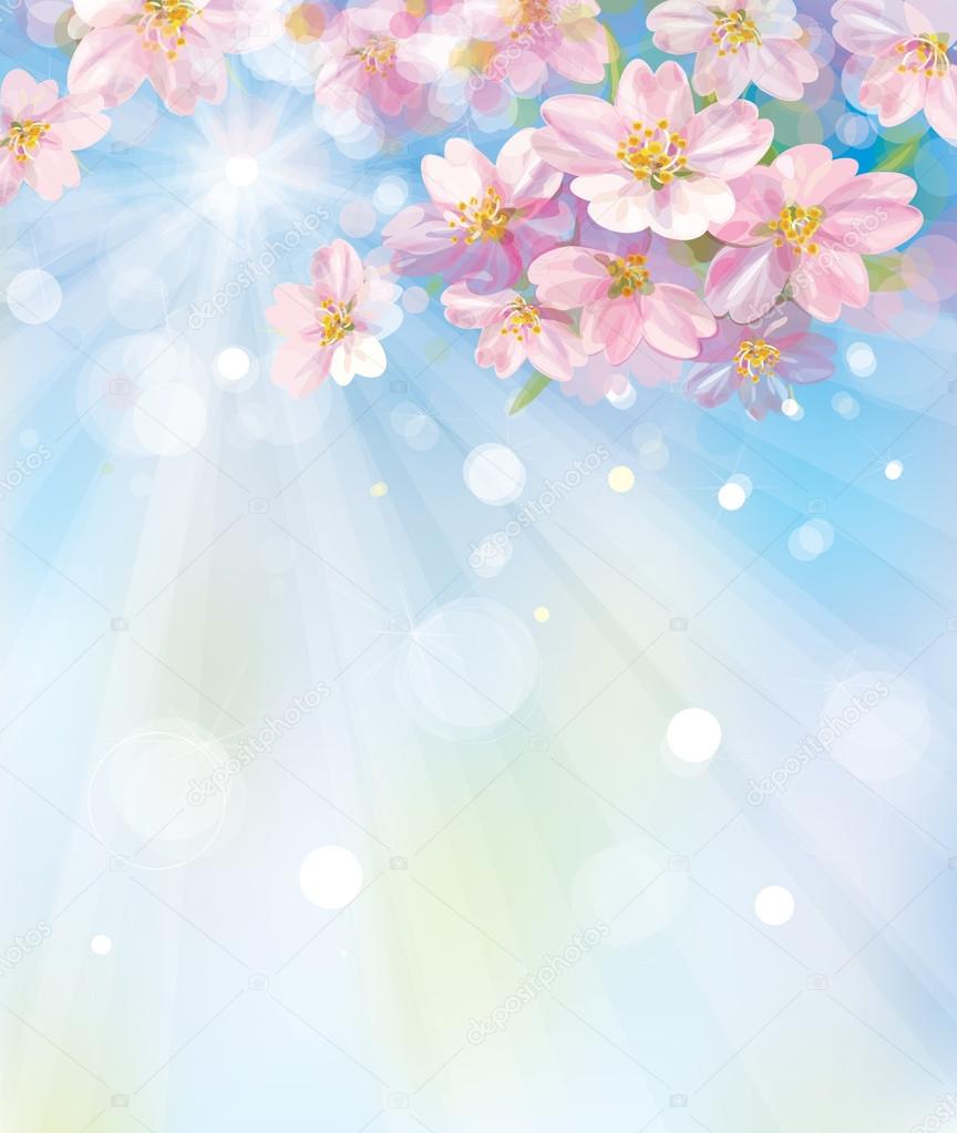 Vector of spring blossoming tree with sky background