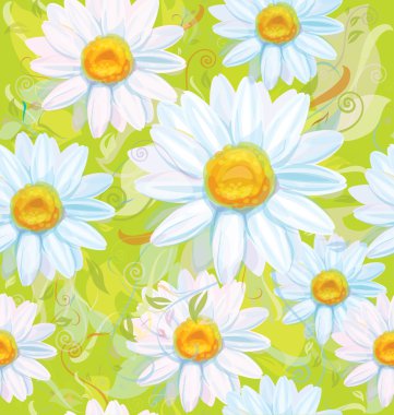 Seamless pattern of white camomiles clipart