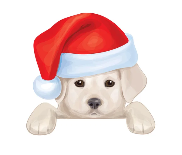 Vector of cute puppy in Santas hat hiding by blank. — Stock Vector