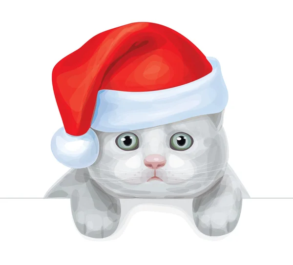 Vektor kucing lucu di topi Santa bersembunyi dengan kosong . - Stok Vektor