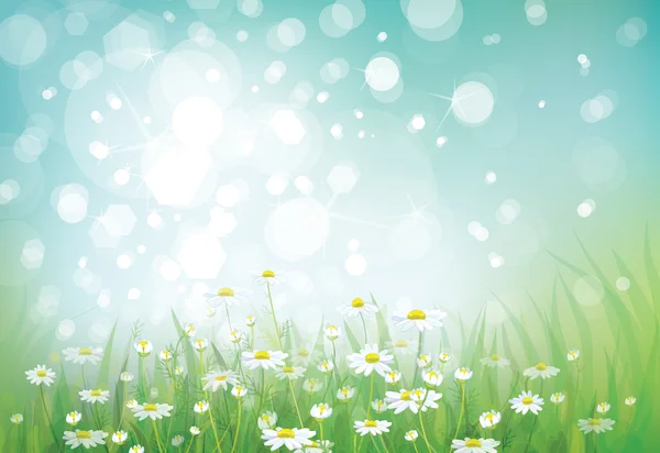 Vector of spring background — Stock Vector