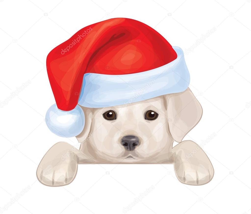Vector of cute puppy in Santas hat hiding by blank.