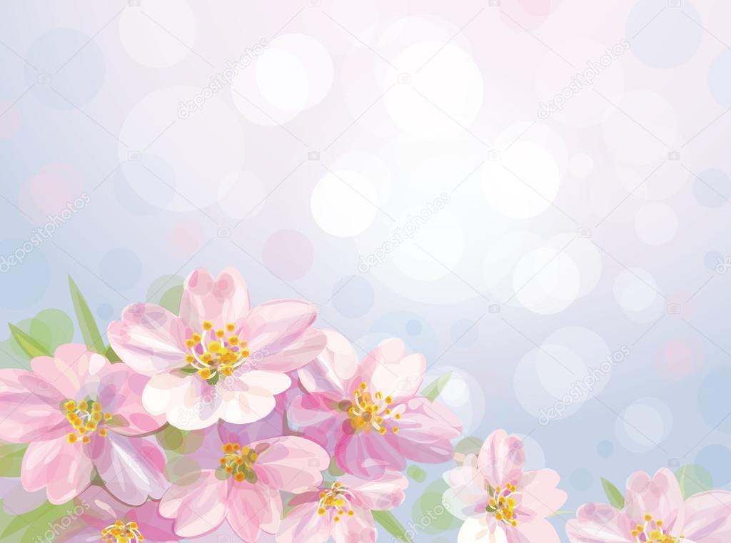 Vector of spring blossoming flowers of apple tree.
